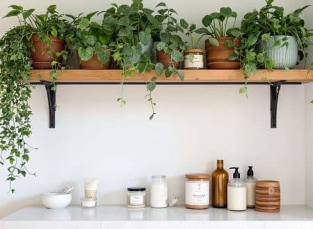 natural and organic beauty products