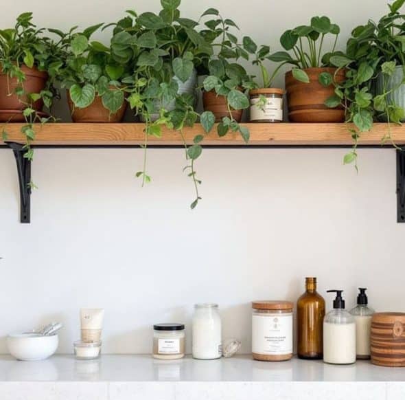 natural and organic beauty products