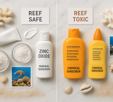 7 Natural Sunscreen Zinc Oxide vs Chemical: Ultimate Protection Guide